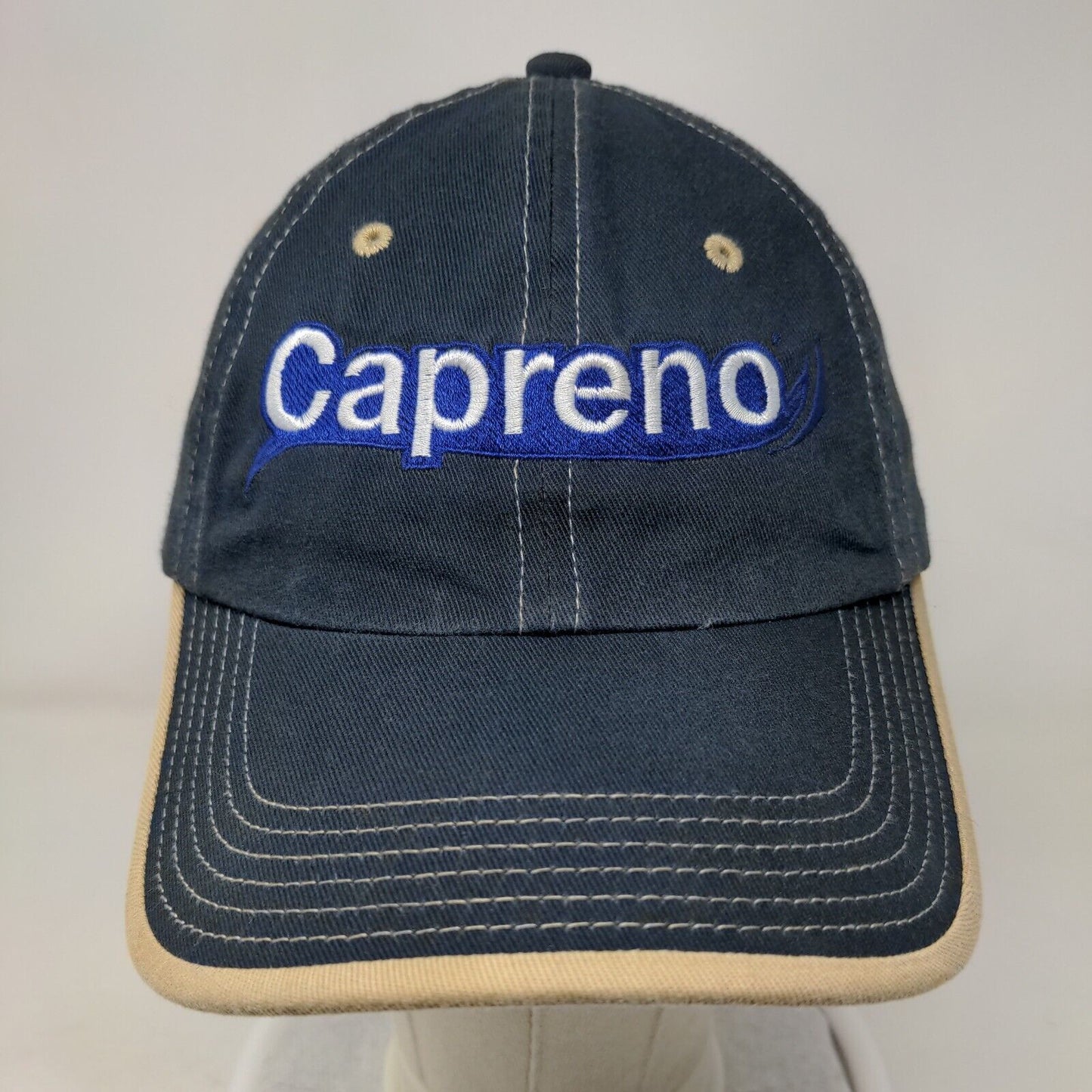 Capreno Northeast Agricultural Strapback Hat Blue OSFA Adjustable Port Authority