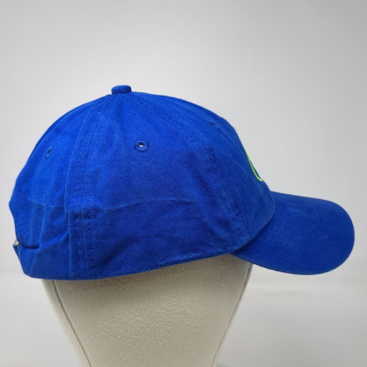 Blue Baseball Cap One Size Healthy Ones Heart Logo Green White Adjustable Hat