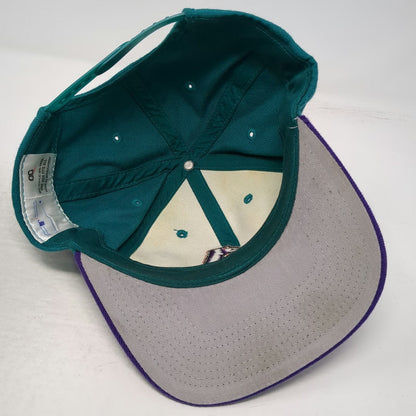 Arizona Diamondbacks MLB OC Snapback Hat Green Purple OSFM Gray Underbrim Logo