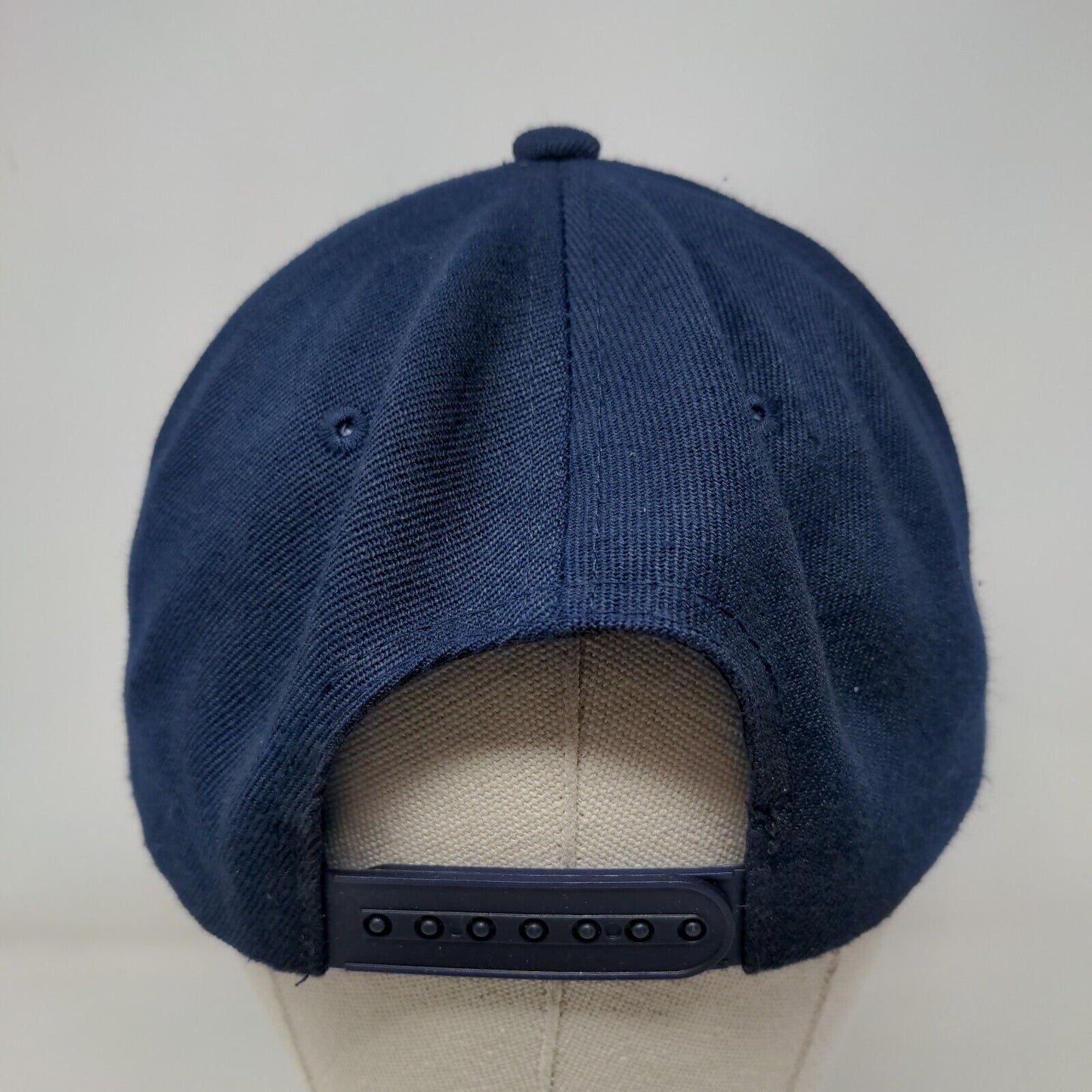 Tokyo Japan Dragon Snapback Hat Blue One Size Embroidered Ring Of Fire