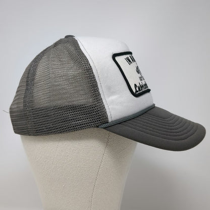 Spirit Trucker Hat Gray White One Size Automotive Lubrication Expert Snapback