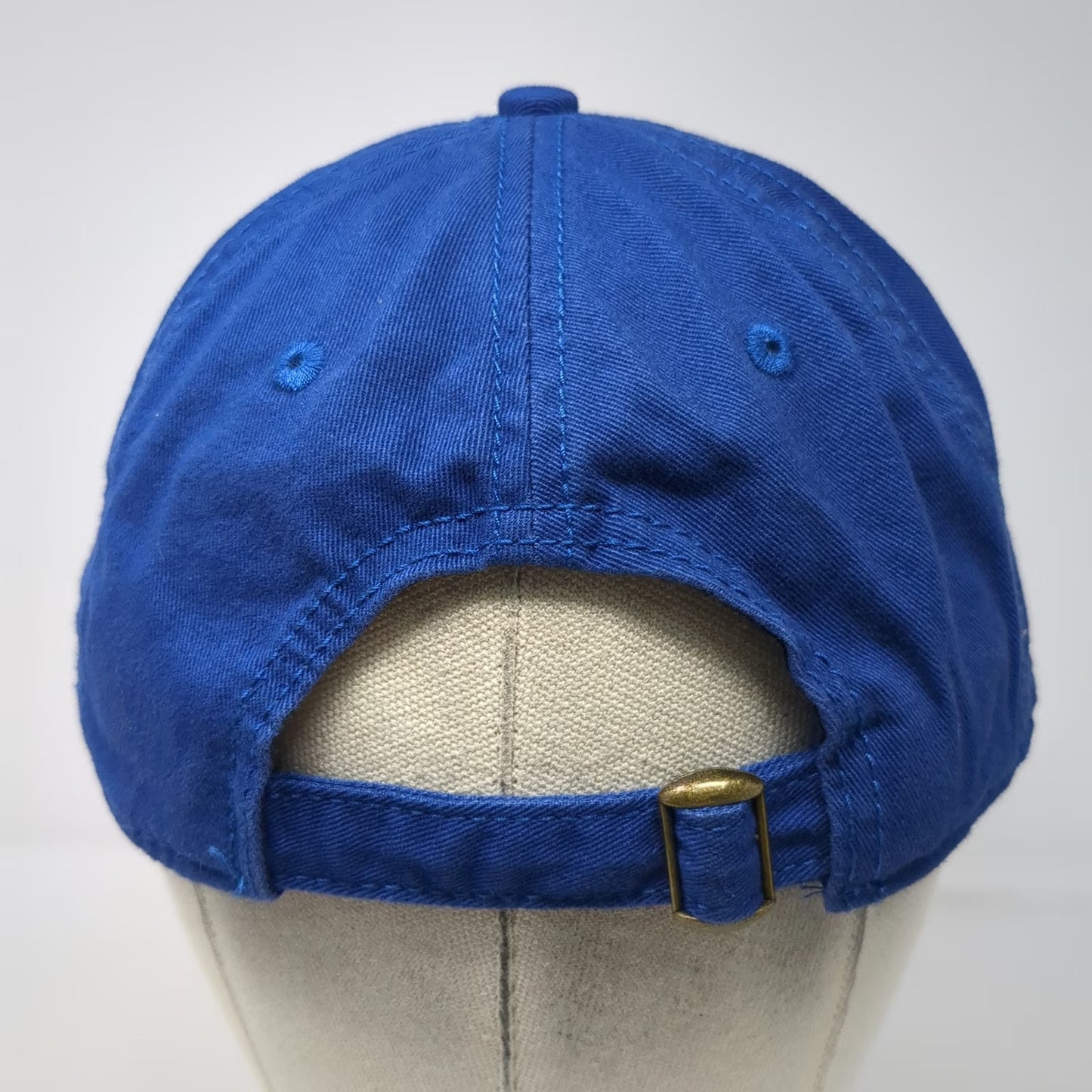 Sportsman Baseball Cap Blue One Size Adjustable Public Health Embroidered Hat