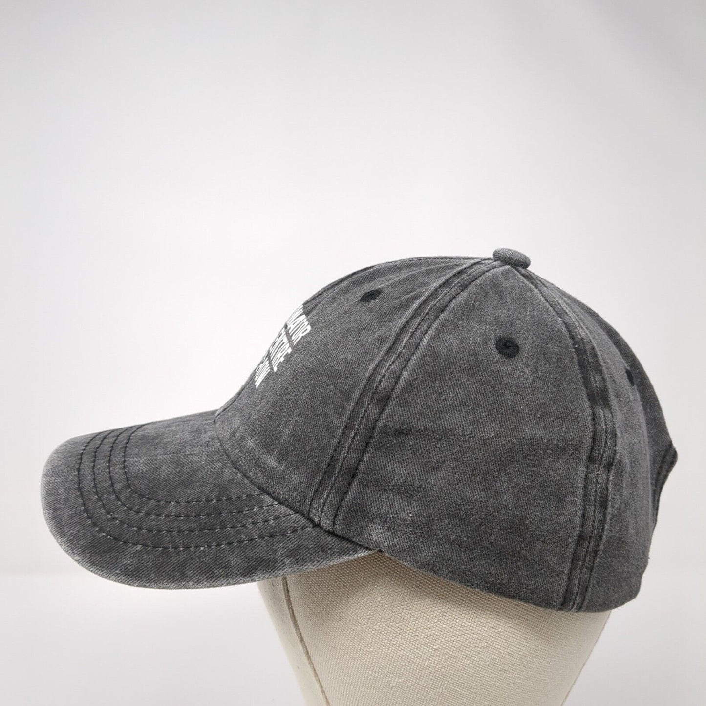 Coordinator of The Entire S**t Show Slideback Hat Gray OS Adjustable 6 Panel