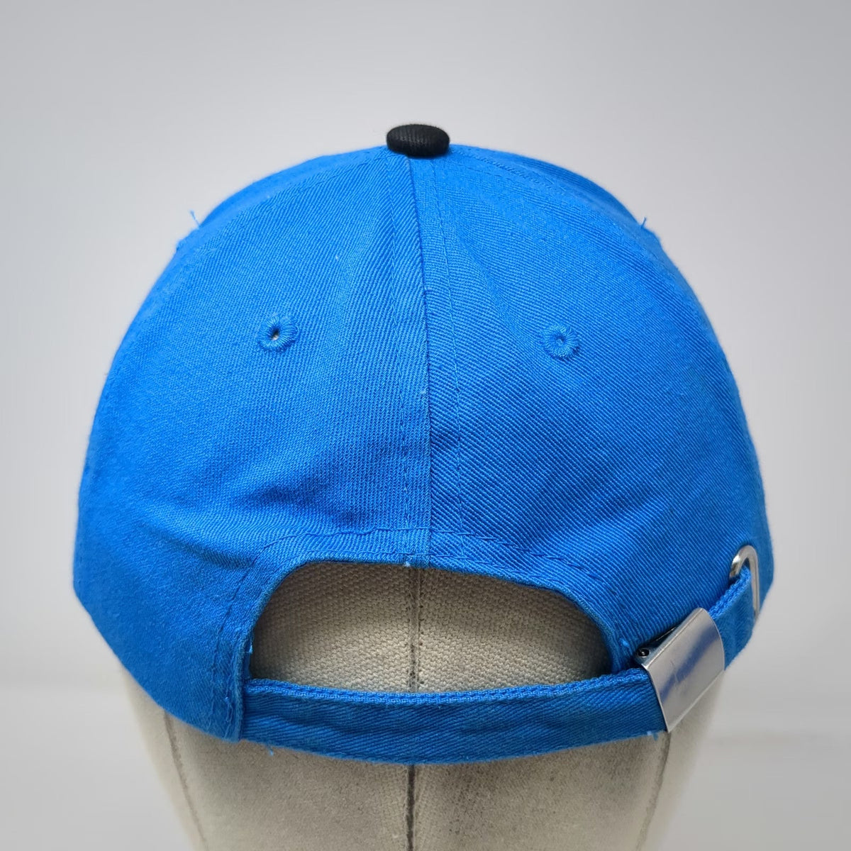 Beloit Sky Carp 2022 Inaugural Season Baseball Cap Blue One Size Hat Slideback