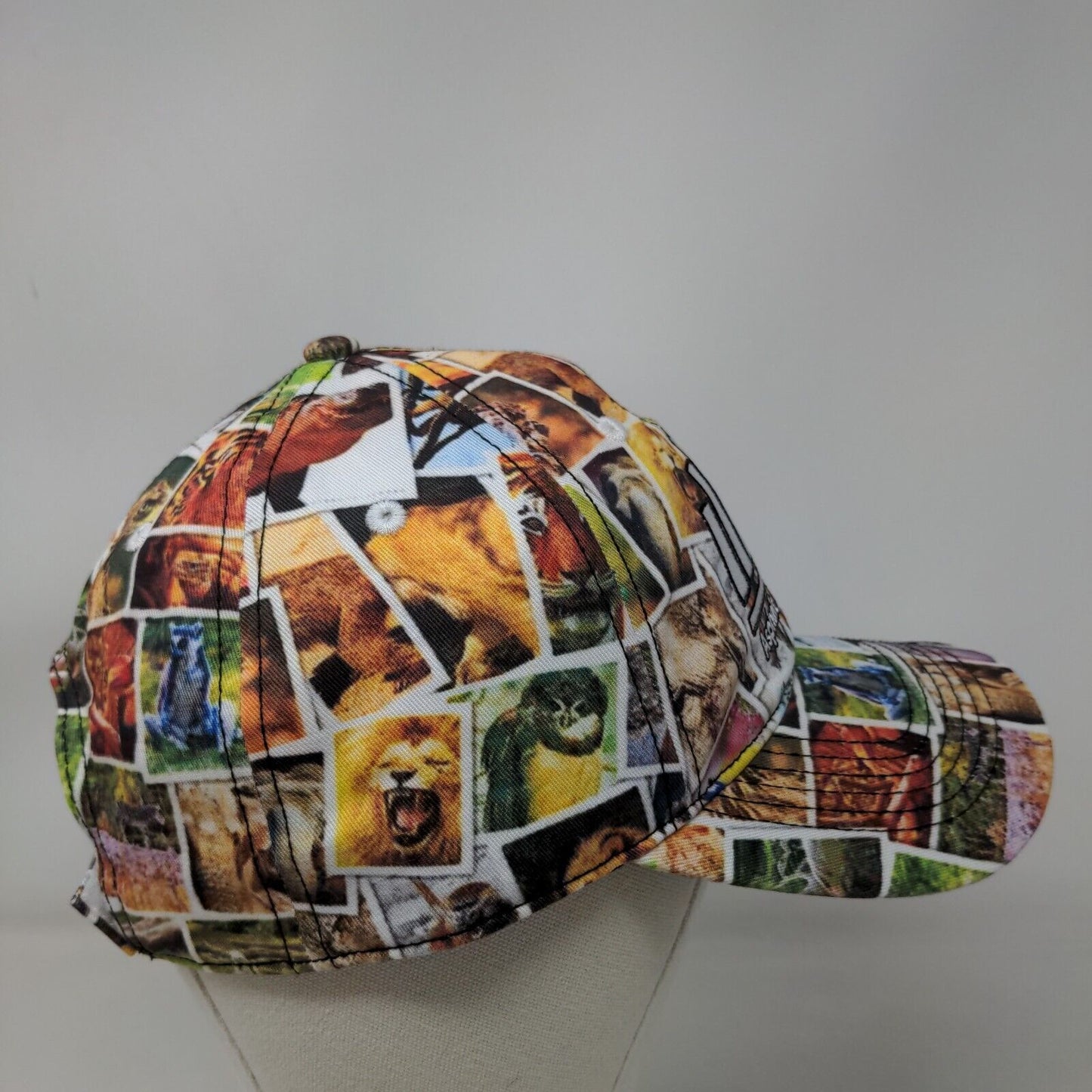 Asphalt Materials Inc. 2023 Day at The Zoo Strapback Hat Multicolor One Size