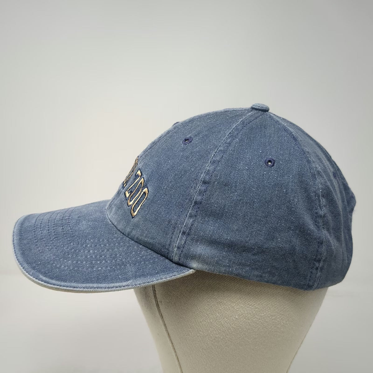 Baseball Cap Blue One Size Bronx Zoo Embroidered Denim Strapback Hat Souvenir