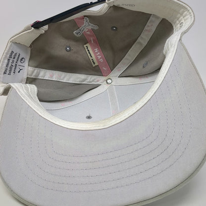 Puma Arnold Palmer Umbrella Golf Hat Gray One Size Snapback Flexfit 110 Blue
