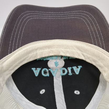 Prairie Mountain Trucker Hat Gray One Size Acadia National Park Snapback Mesh