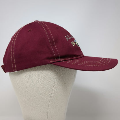Ace USA Baseball Cap Red One Size Alaska 1959 Mountain Contrast Stitch Hat