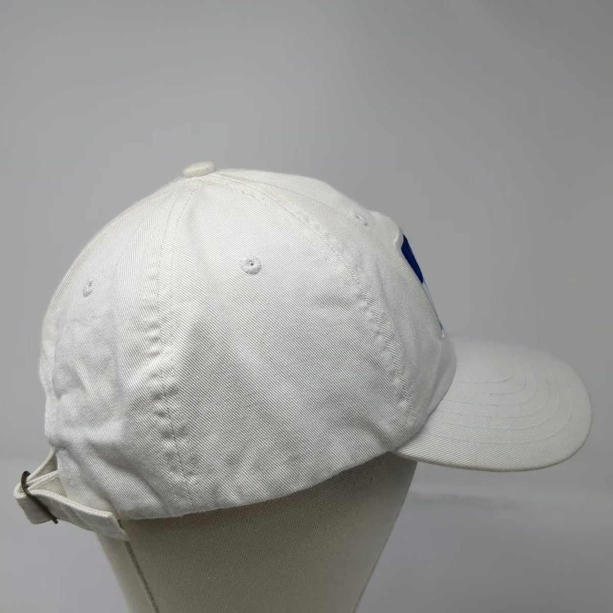 Dasani Mouthwatering Summer White Baseball Cap One Size Slideback Patch Hat