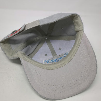 Baseball Cap Gray One Size Hudson Valley Renegades 25 Years Marist MiLB Team Hat