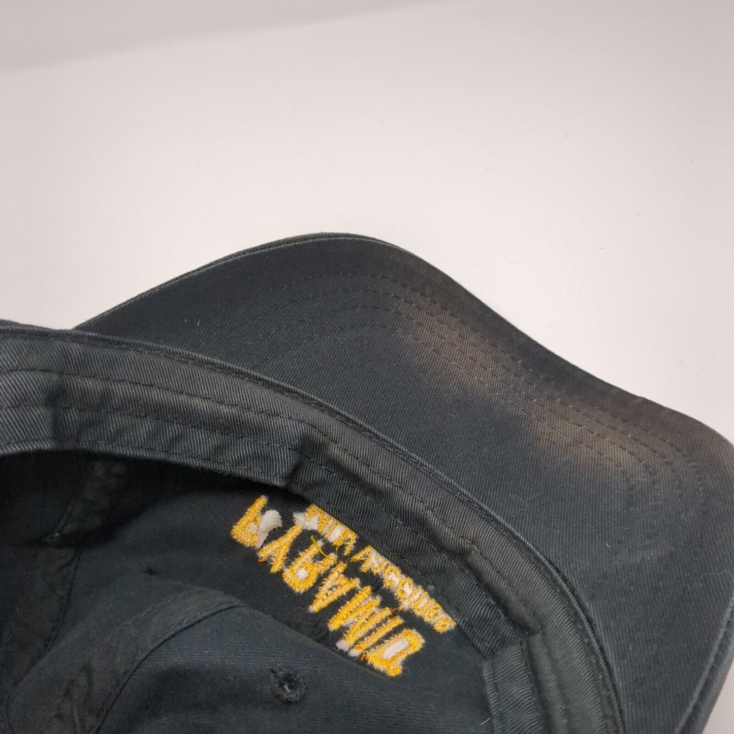 Pyramid MLV Vaccines Slideback Hat Black One Size Boehringer Ingelheim