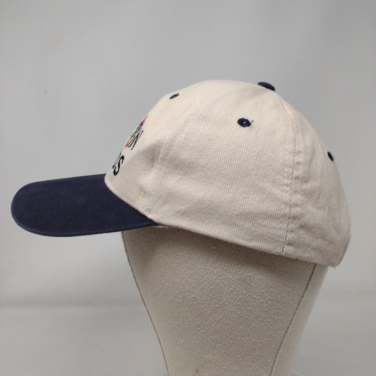War On Weeds Strapback Hat Multi OSFA Embroidered Colorblock Hit Wear
