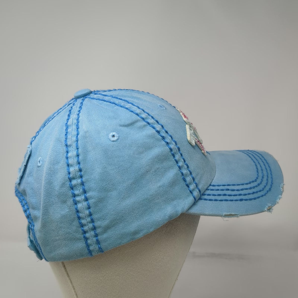 Robin Ruth Baseball Cap Blue One Size Texas Floral Embroidered Distressed Hat