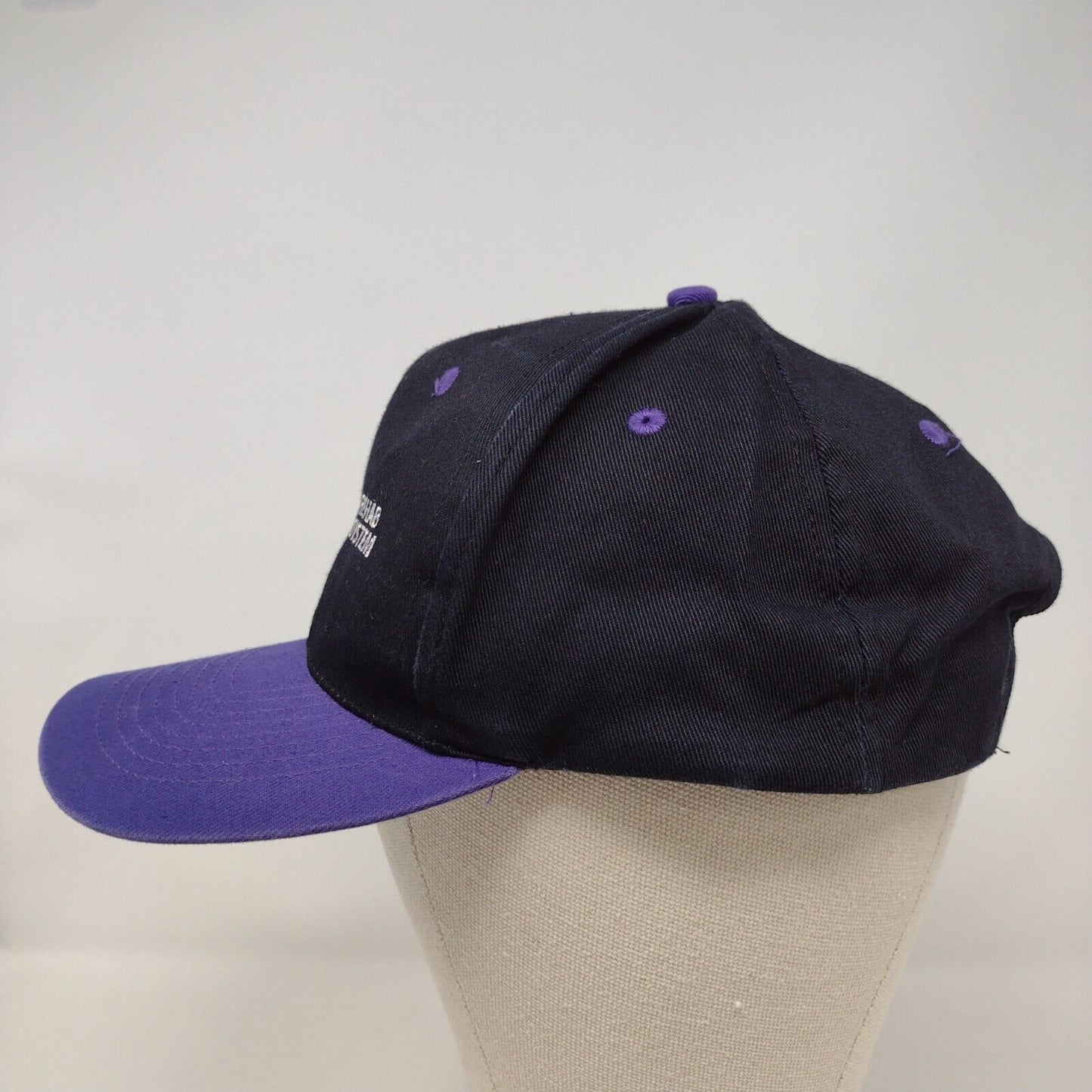 Elks Rehab System Snapback Hat Multi OSFA Embroidered Colorblock KC
