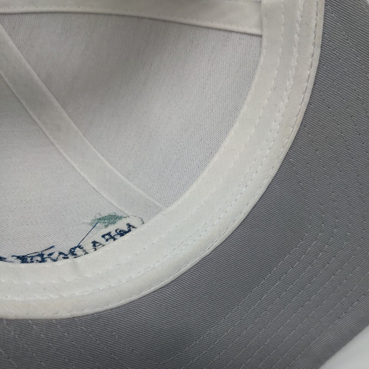 Meadow View Snapback Trucker Hat Gray One Size Mesh Back Embroidered