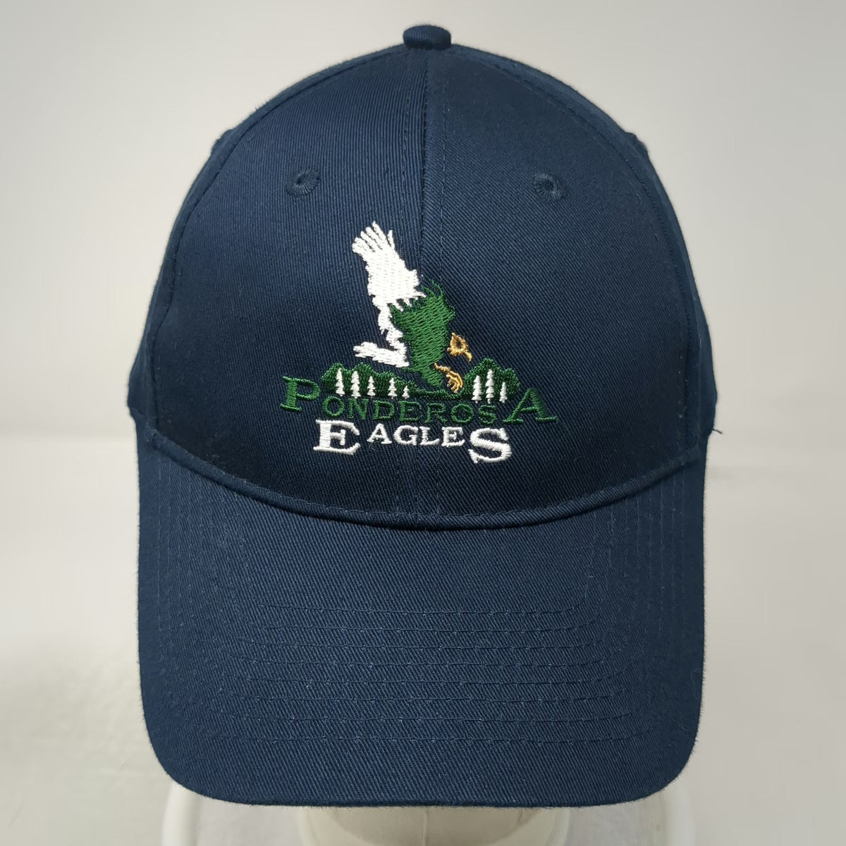 Port & Company Baseball Cap Blue One Size Strapback Eagle Mountain Forest Hat