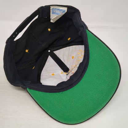 Pittsburgh Steelers NFL AJD Snapback Hat Black One Size Script Green Underbrim