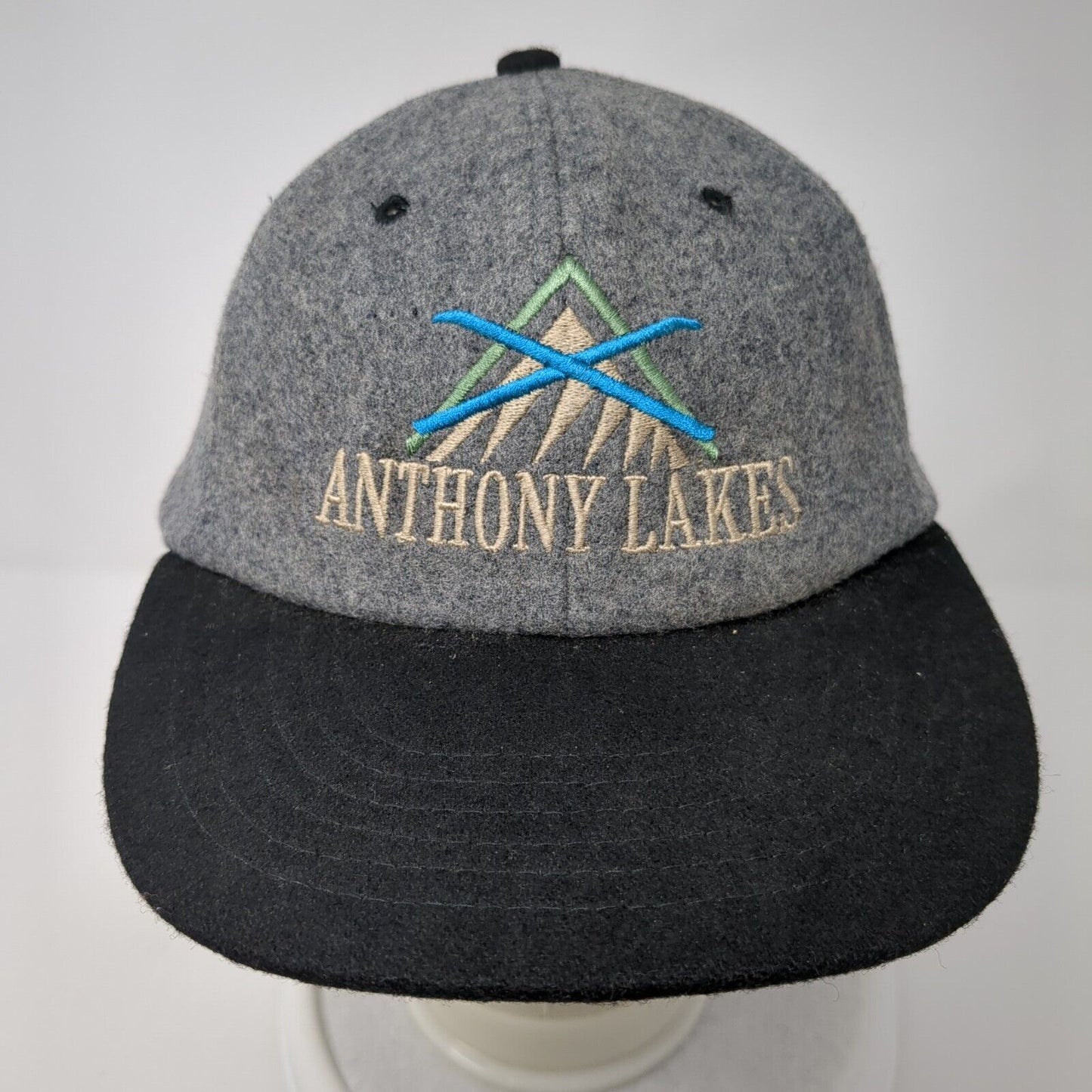 Anthony Lakes Strapback Hat Gray One Size Adjustable Embroidered 6 Panel CSI