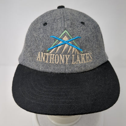 Anthony Lakes Strapback Hat Gray One Size Adjustable Embroidered 6 Panel CSI
