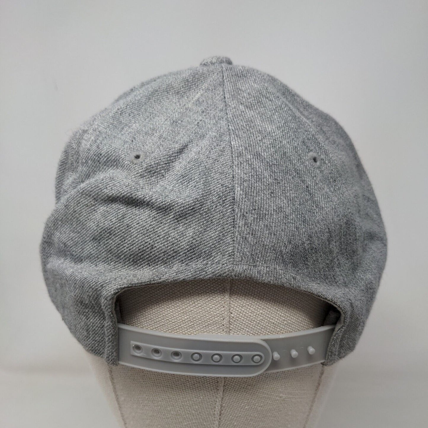 Coors Light Born in The Rockies Snapback Hat Gray One Size Embroidered 6 Panel
