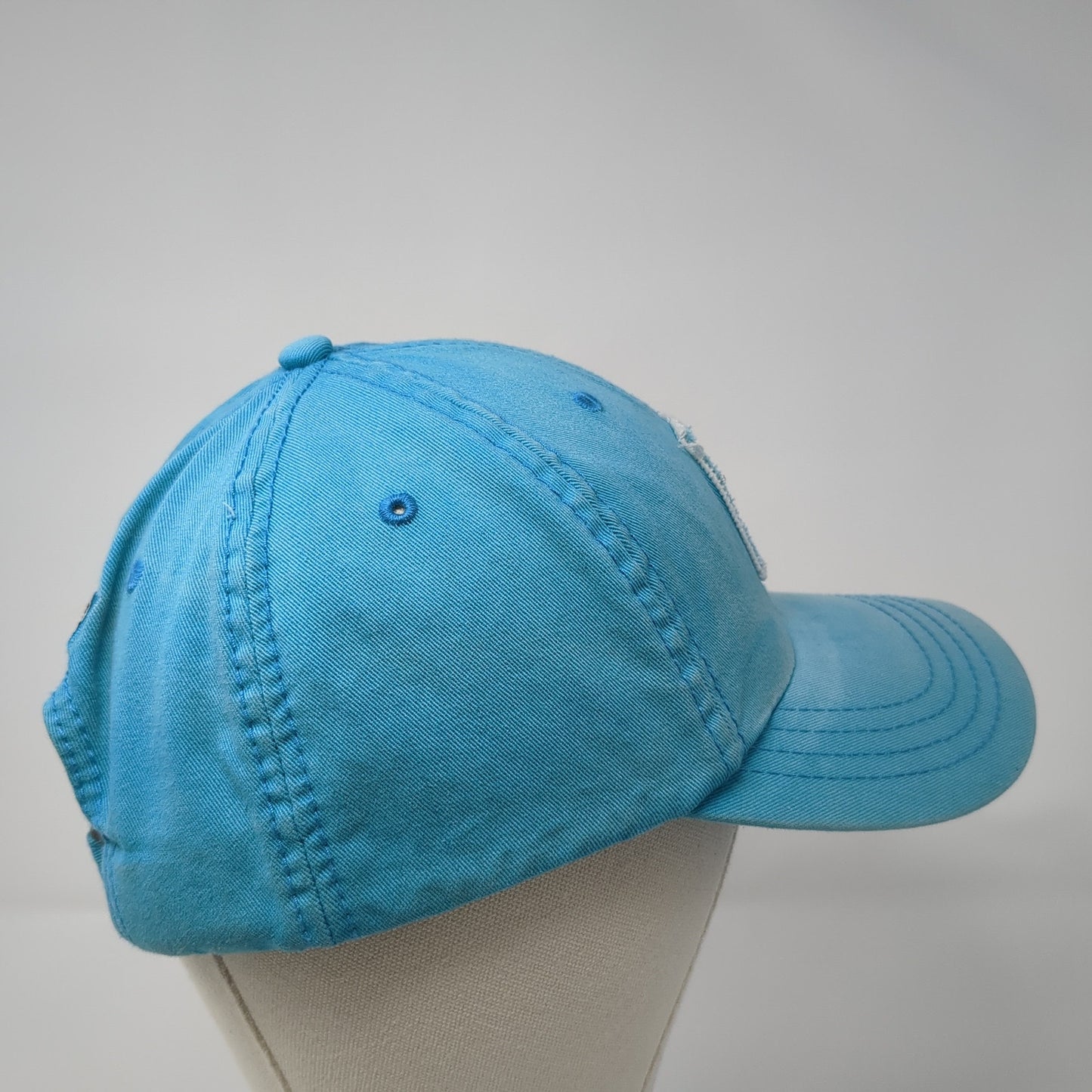 Lion Patch Slideback Hat Blue One Size Adjustable American Dry Goods