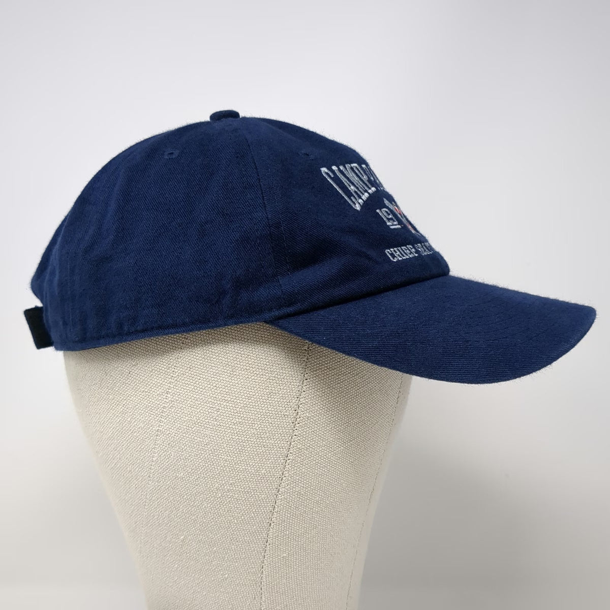 Cobra Baseball Cap Blue One Size Camp Parsons Seattle Council Embroidered Hat