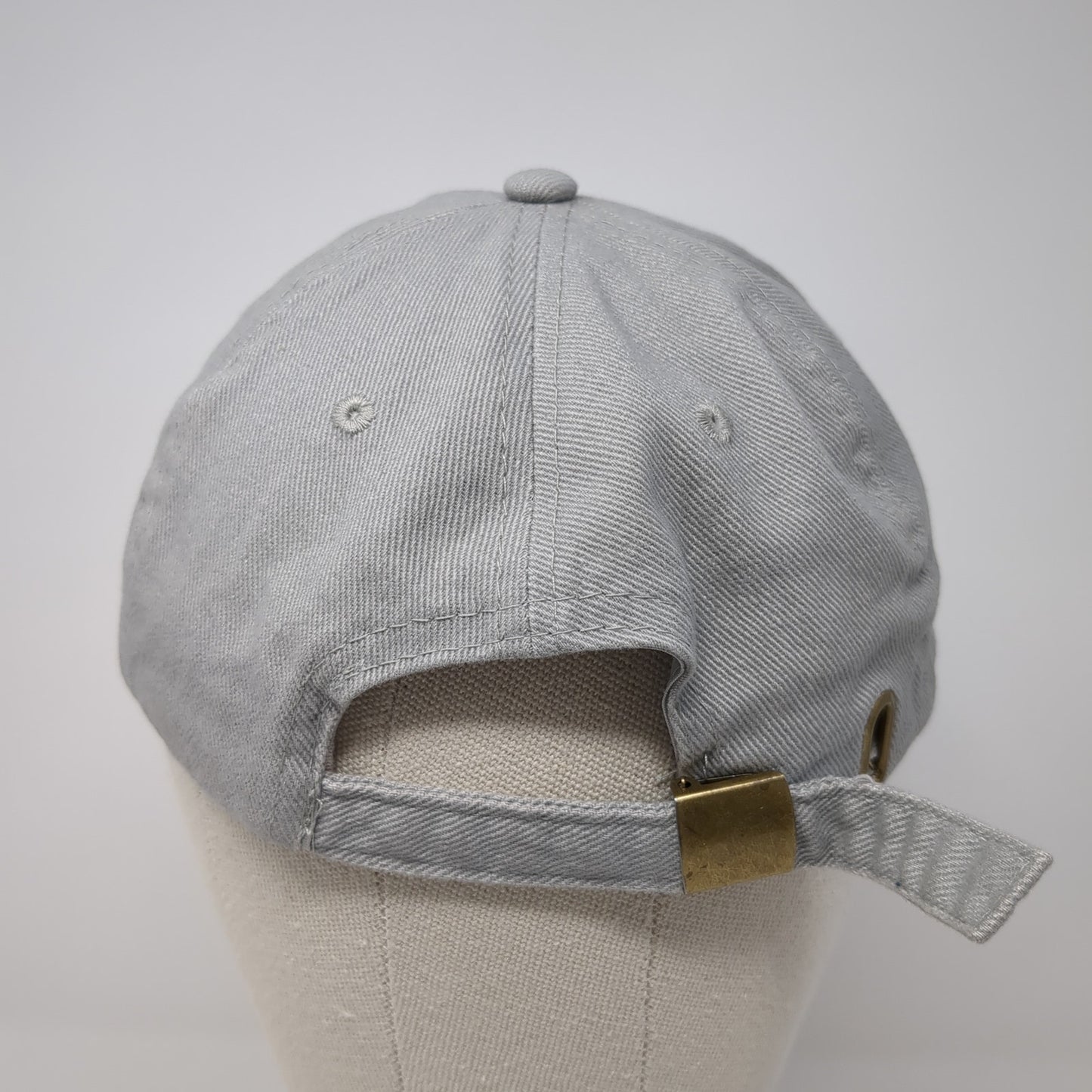 Alpha-1 Foundation Research For A Cure Baseball Cap Gray OS Adjustable Bullet