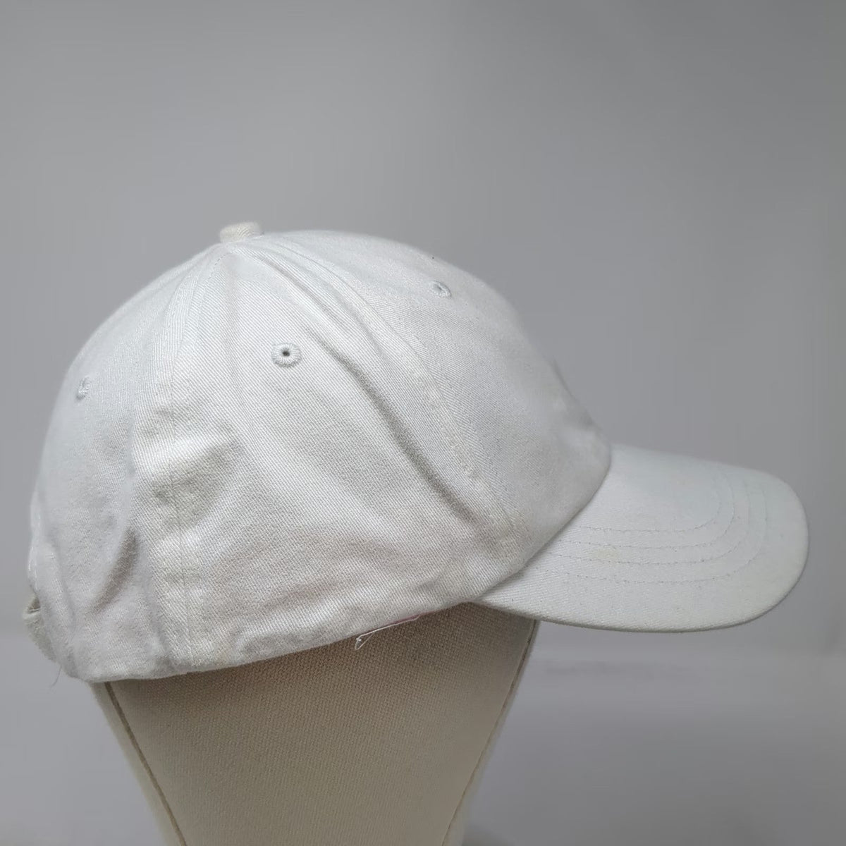 Busch Gardens Baseball Cap White One Size Pink BG Side Embroidery Strapback Hat