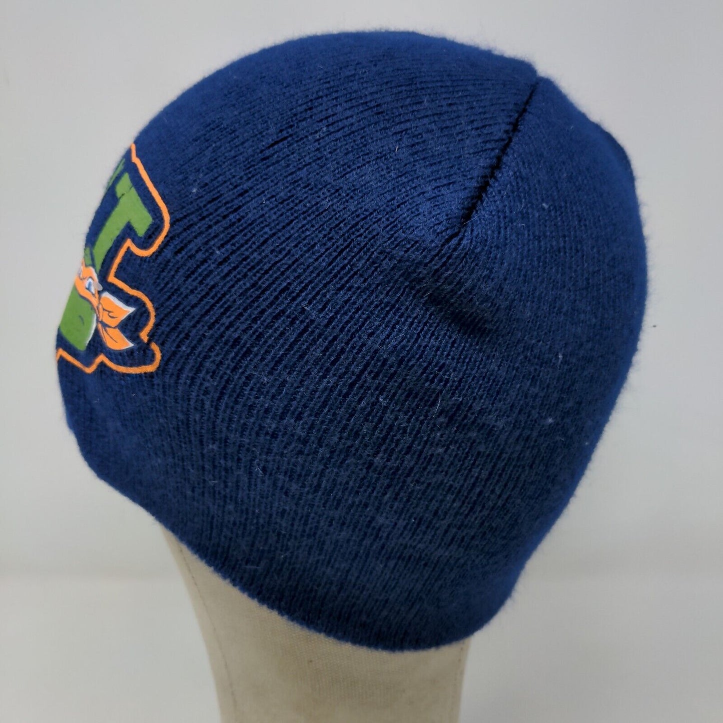 TMNT Teenage Mutant Ninja Turtles Boys Beanie Hat Blue OSFM Graphic Logo