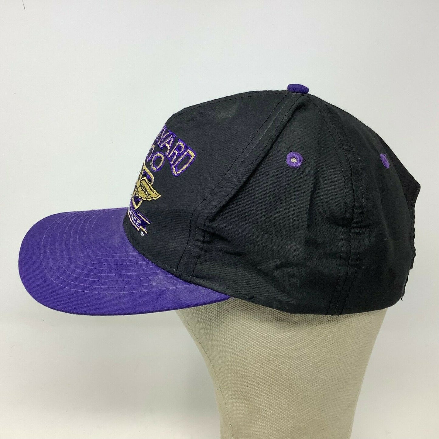 Vintage 1994 NASCAR Brickyard 400 Inaugural Race Snapback Hat Cap Embroidered