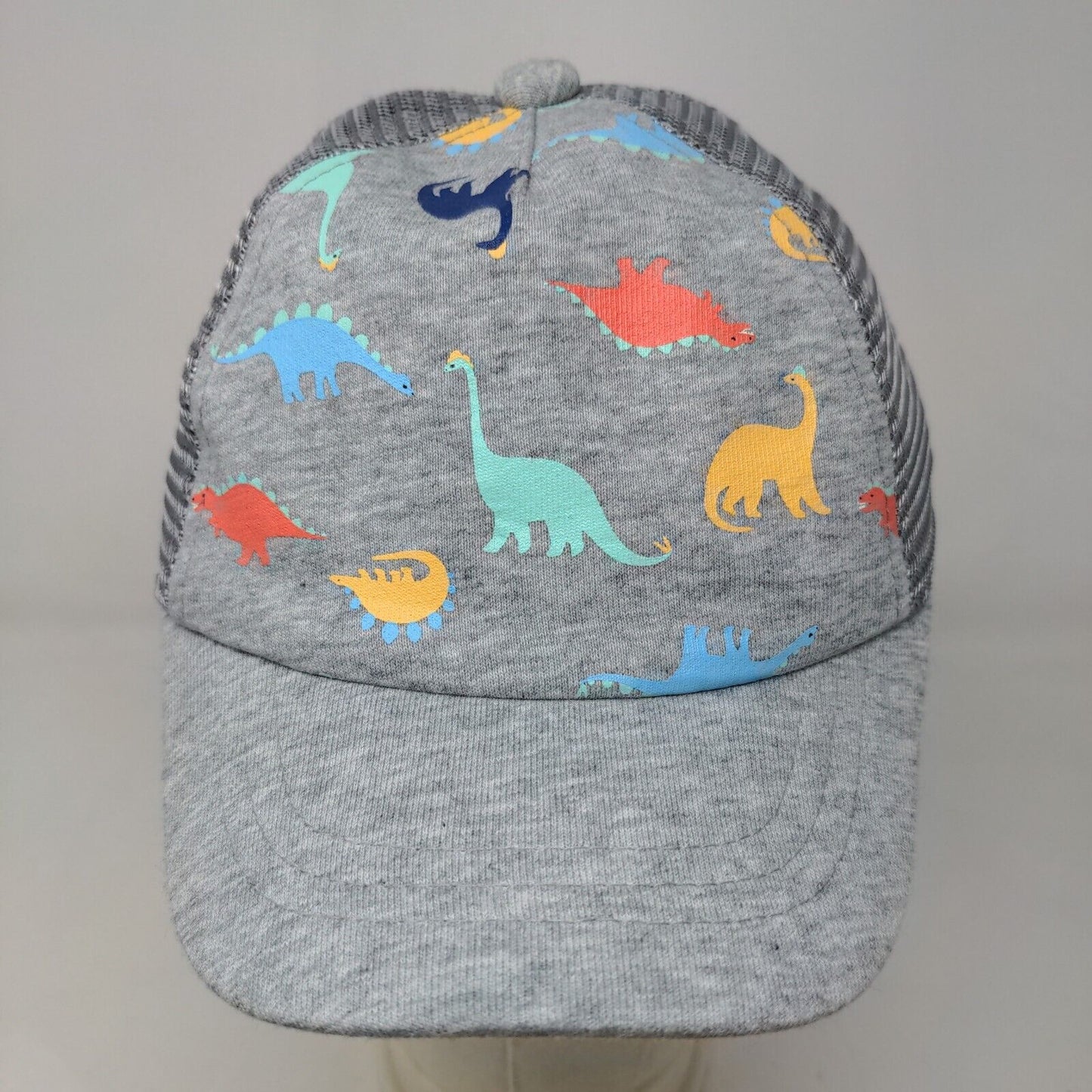 Unbranded Boy's Snapback Hat Gray Mesh Back Dinosaurs Graphic