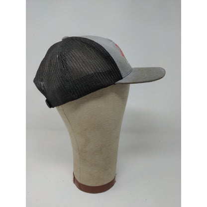The North Face Alpine Equipment Snapback Mesh Back Hat FlexFit 110 OSFA Gray