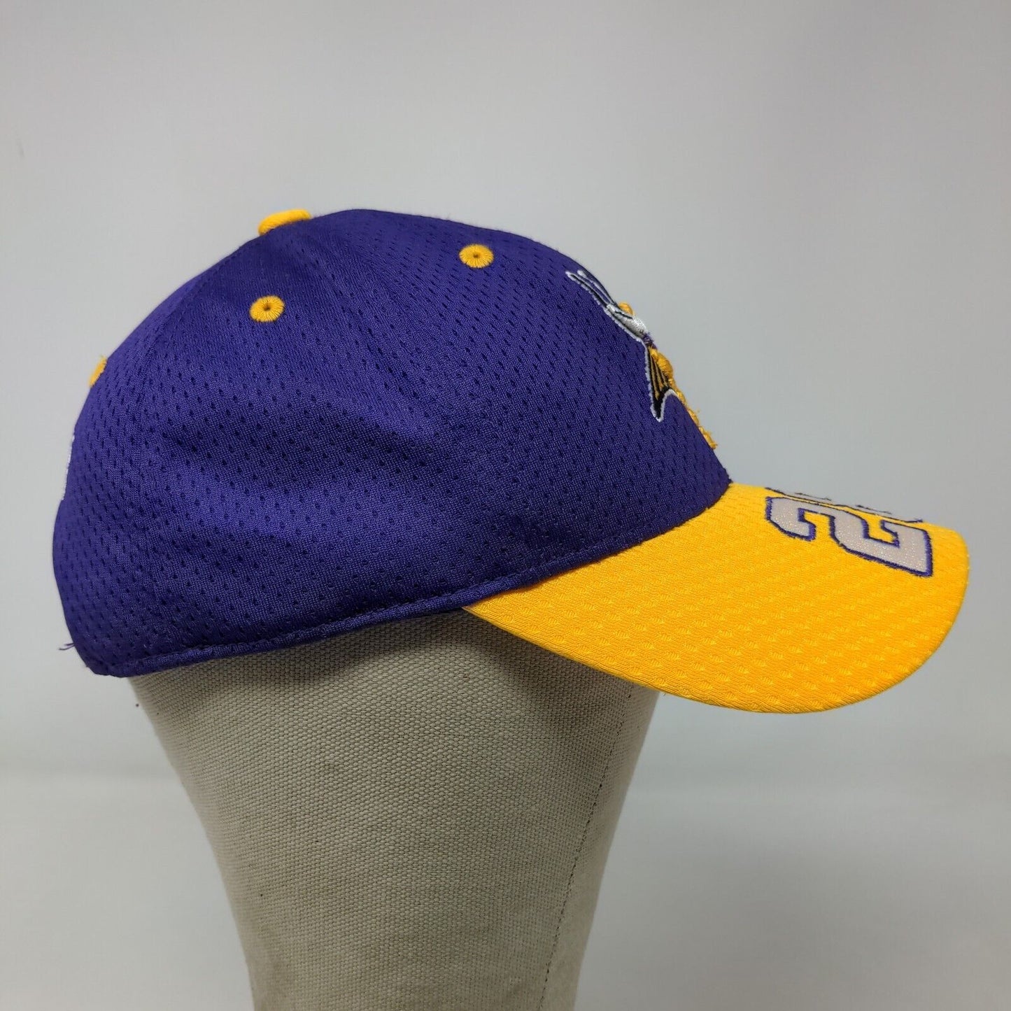 Reebok NFL Boys Minnesota Vikings Strapback Hat Purple Yellow #28 Peterson