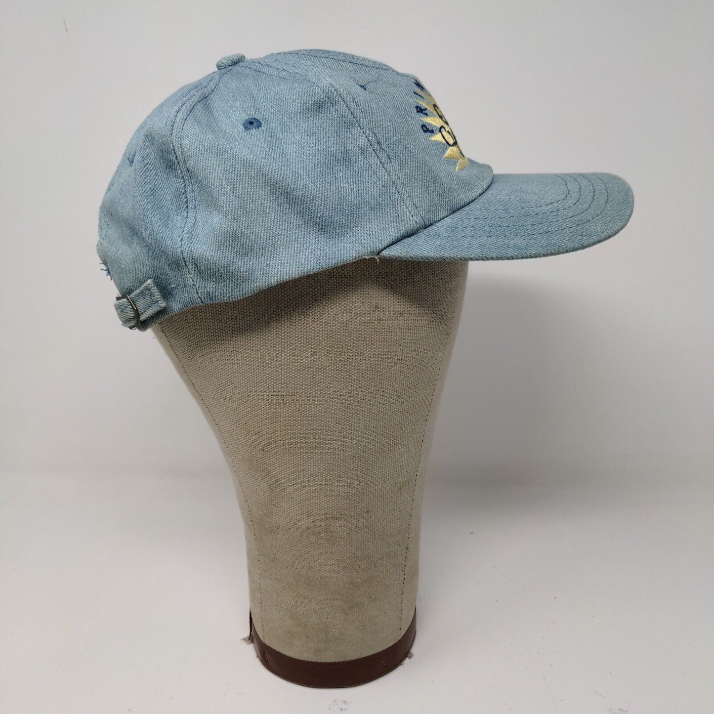 Princess Grand Class Cruising Blue Strap Back Hat Cap Embroidered OSFA