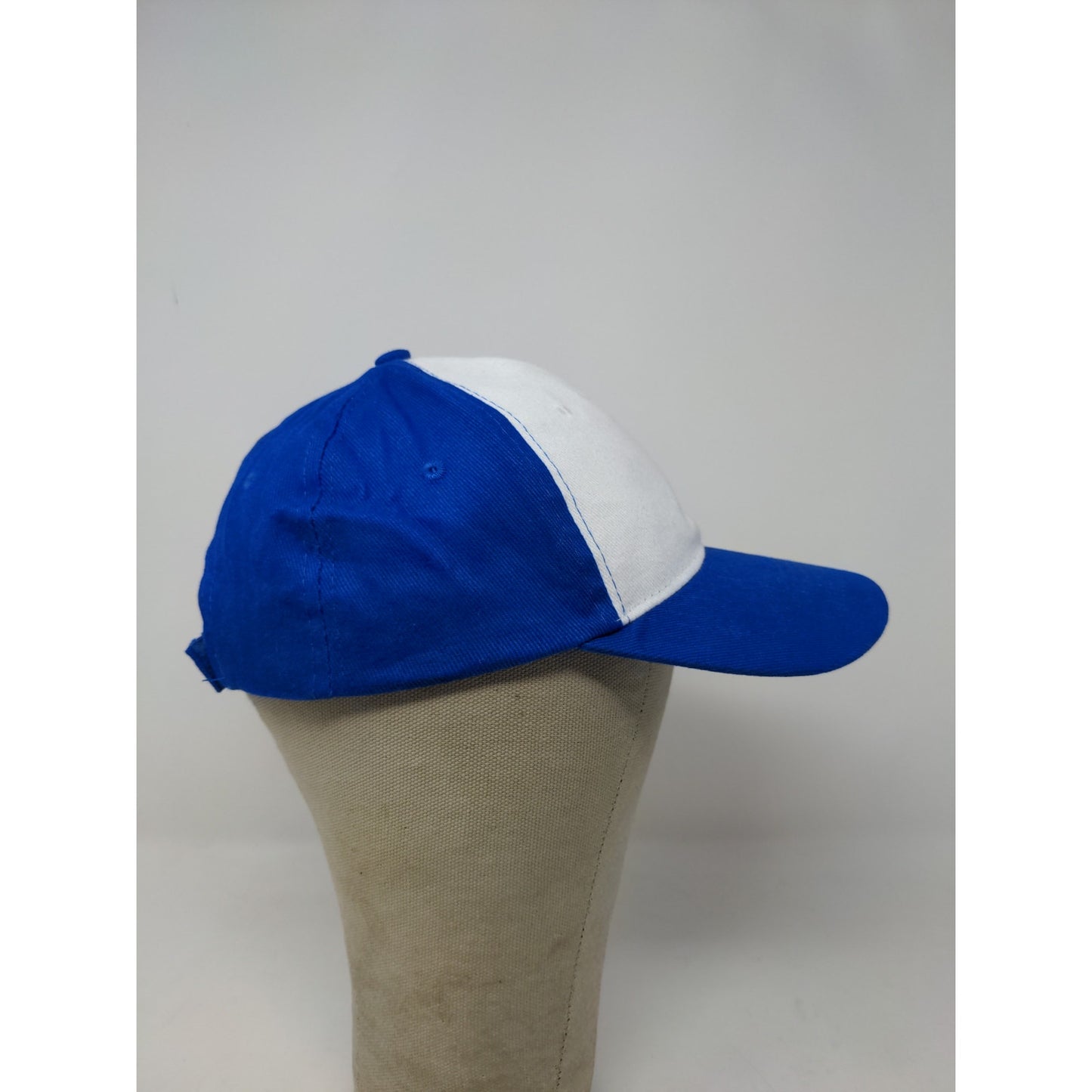 Geico Strapback Adjustable Hat OSFA Blue & White Embroidered Logo & Gecko