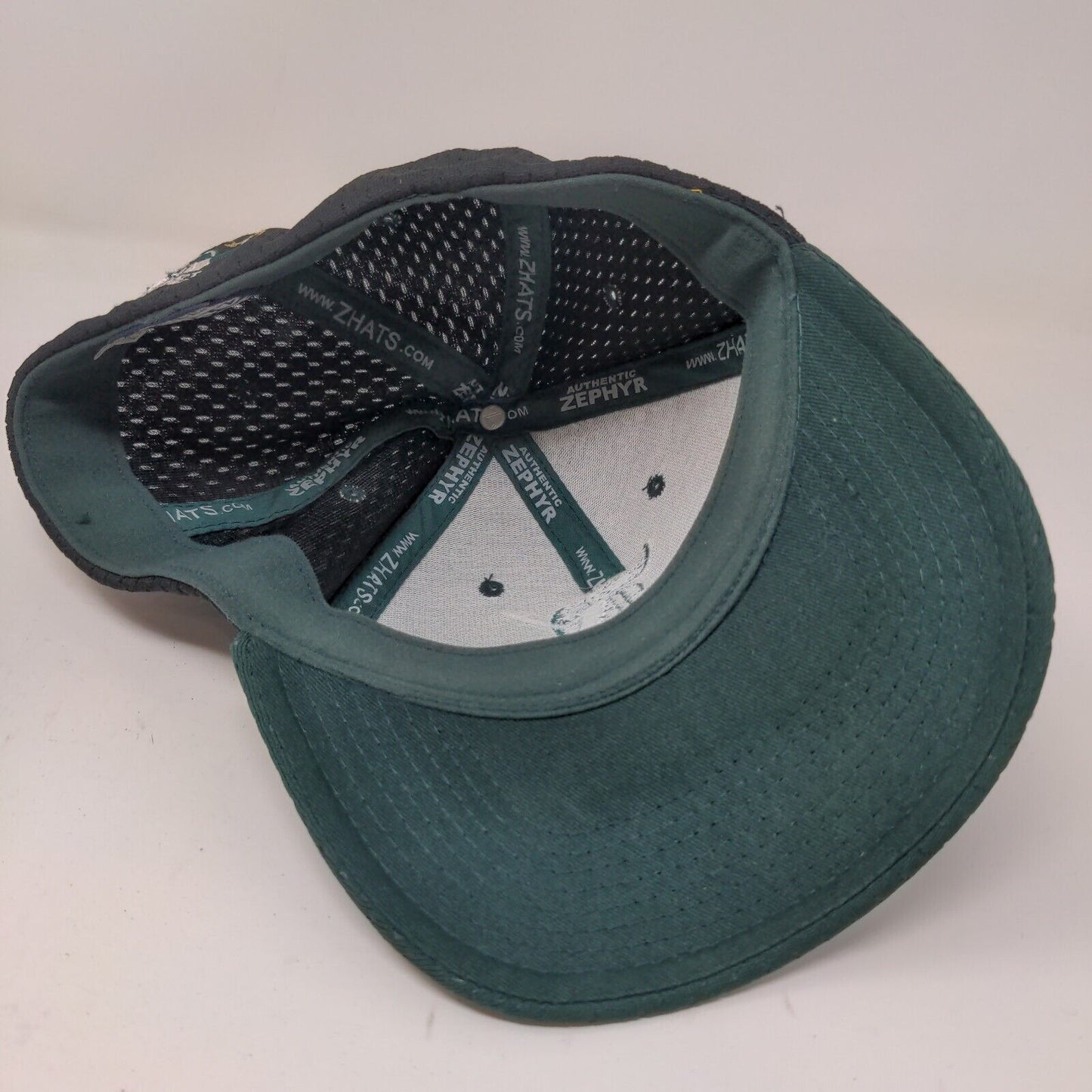 Zephyr Men's Z Fit Danville Dans Prospect League Hat Black Green Small