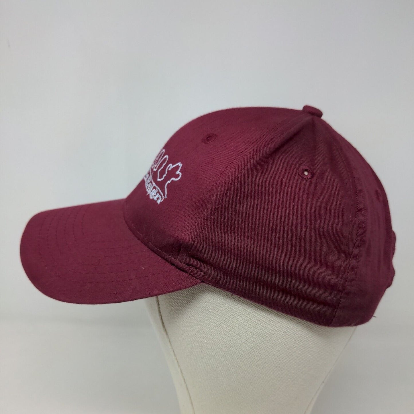 Unbranded Men's Snapback Hat Red Burgundy Adjustable After The Reign Country