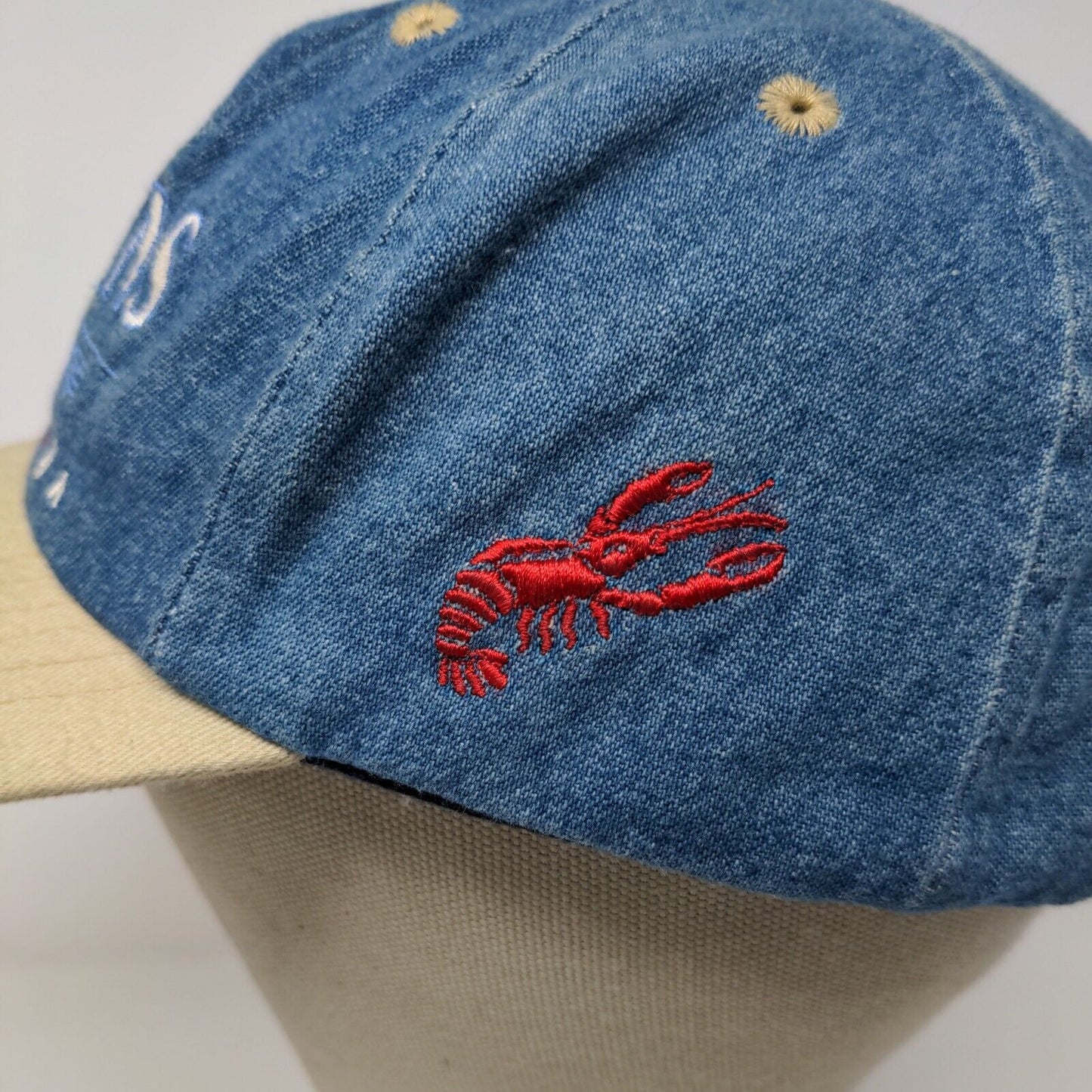 Sun Products Boys New Orleans Louisiana Snapback Hat Blue Denim Size Youth