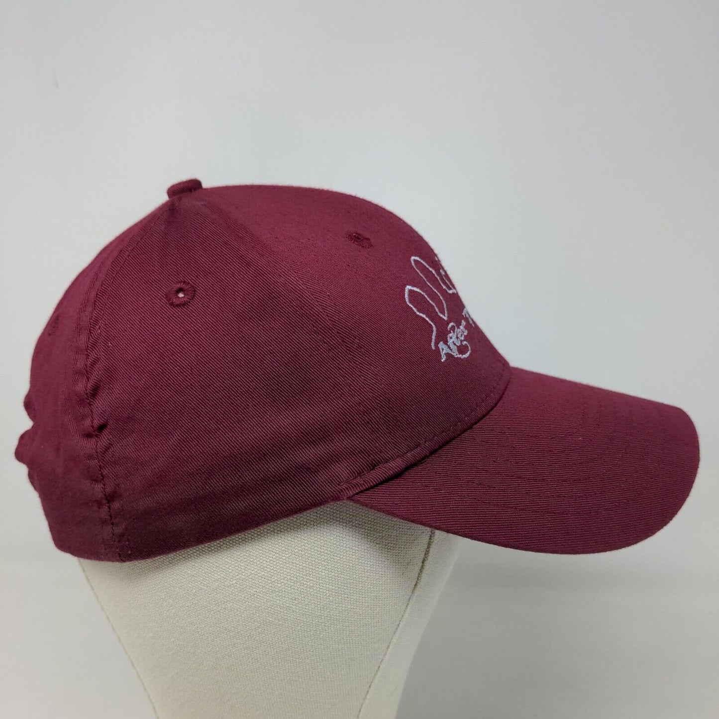 Unbranded Men's Snapback Hat Red Burgundy Adjustable After The Reign Country
