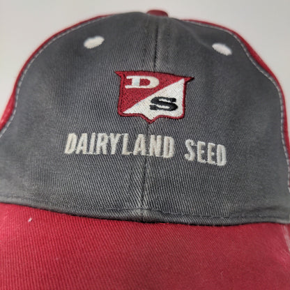 Dairyland Seed Strapback Hat Red Gray Embroidered Logo Farmer