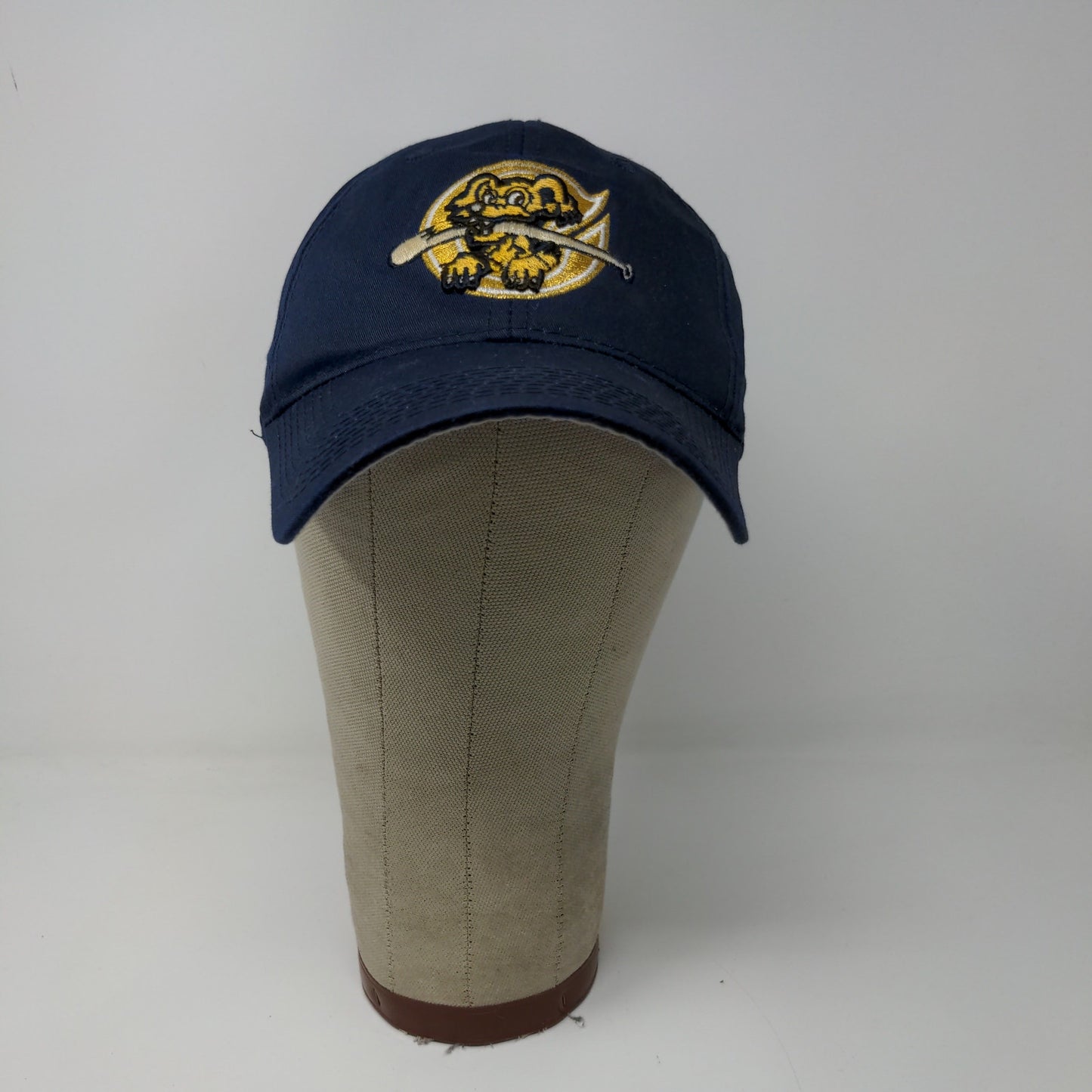 MLB Charleston SC Riverdogs Strapback Hat Embroidered Logo Blue OSFM