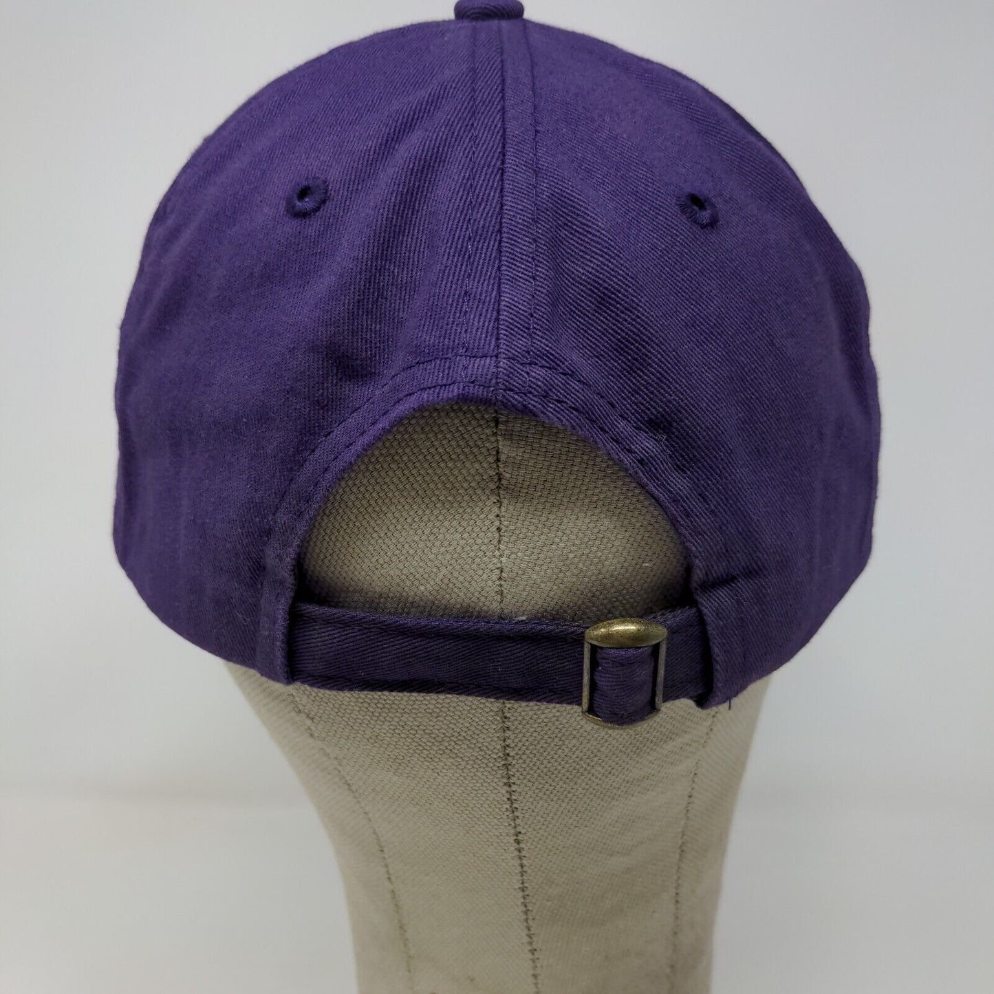 Expressway Dodge, Chrysler, Jeep, Ram Slideback Hat Purple OSFM Embroidered