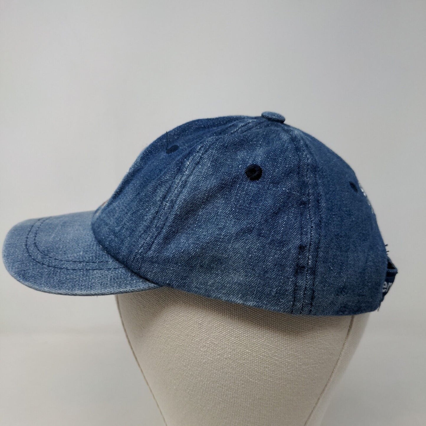 Service Credit Union Boy's Strapback Hat Blue The Money Mammals Embroidered