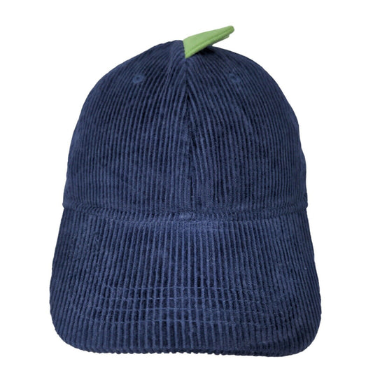 Carter's Boy's Strapback Hat Blue Size 8-14 Corduroy 100% Cotton