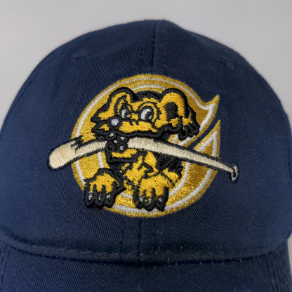 MLB Charleston SC Riverdogs Strapback Hat Embroidered Logo Blue OSFM