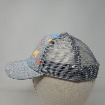 Unbranded Boy's Snapback Hat Gray Mesh Back Dinosaurs Graphic