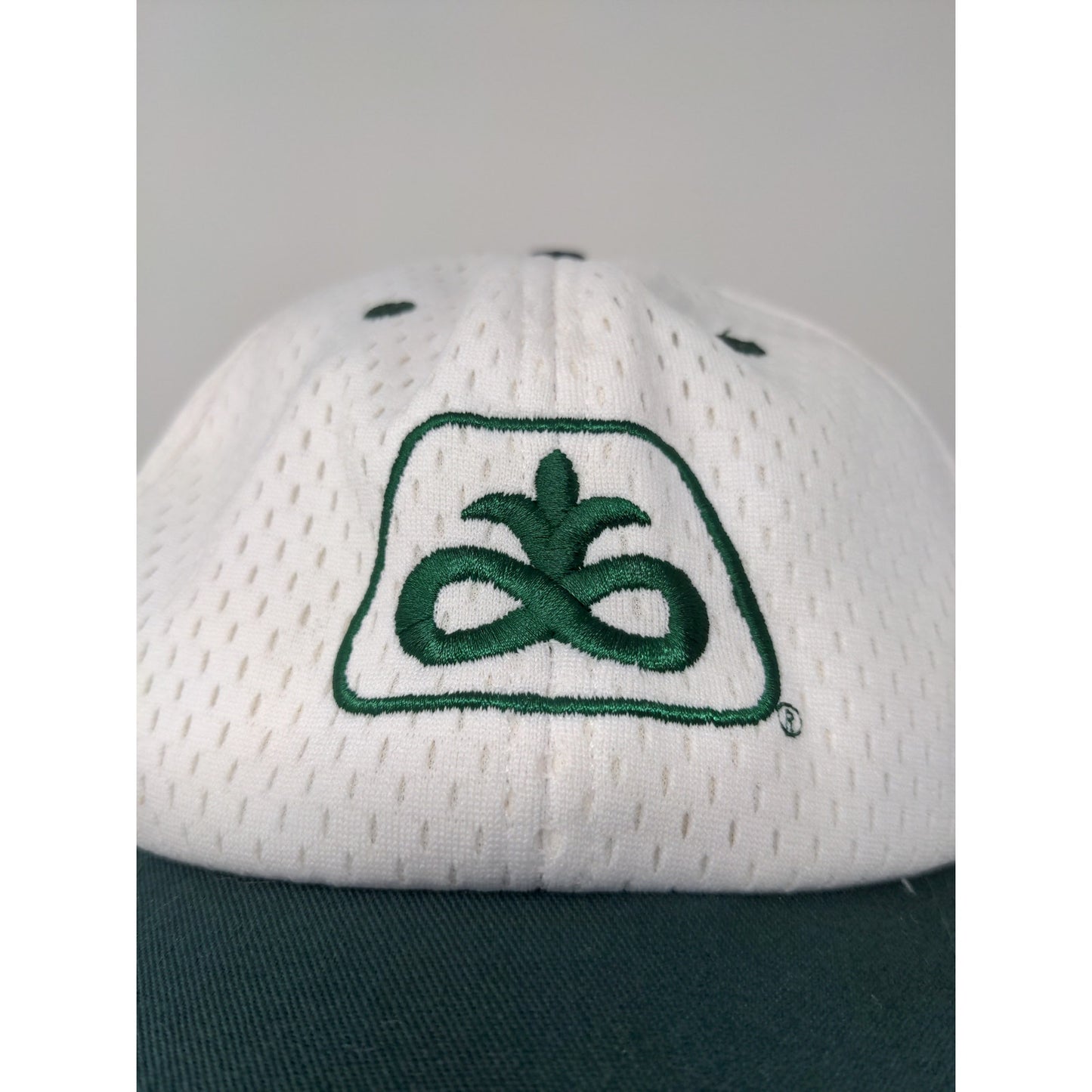 75th Anniversary Pioneer Seeds Snapback Mesh Back Hat White Green Embroidered