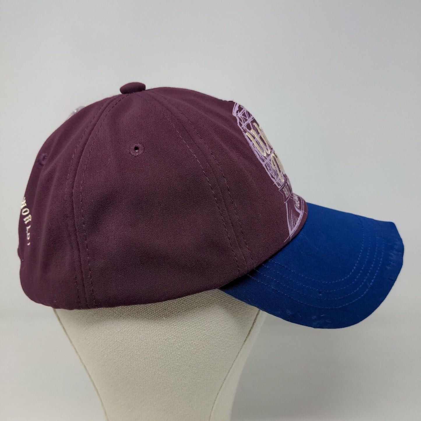 Disney Parks Men's Slideback Hat Multicolor Wine & Dine 2019 Distressed