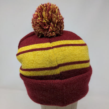 Harry Potter Boys Hogwarts Alumni Beanie Hat Red Yellow OSFM 14+ Fleece Lined